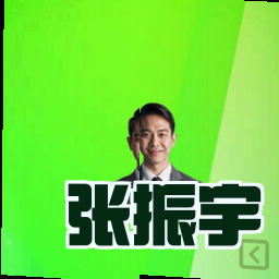 张振宇